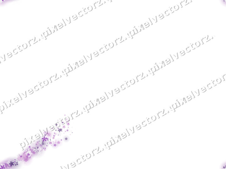 Nahtloser Sternenschweif aus Blüten in Violett auf transparentem Grund