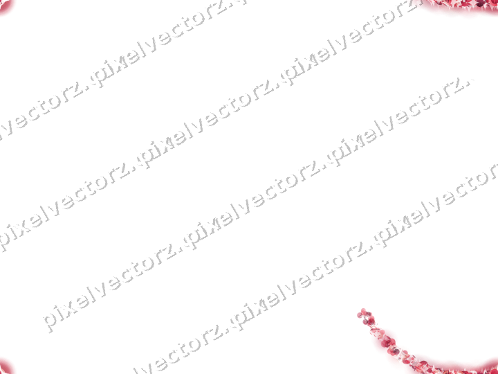 Nahtloser Sternenschweif in Rosa und Rot auf transparentem Grund