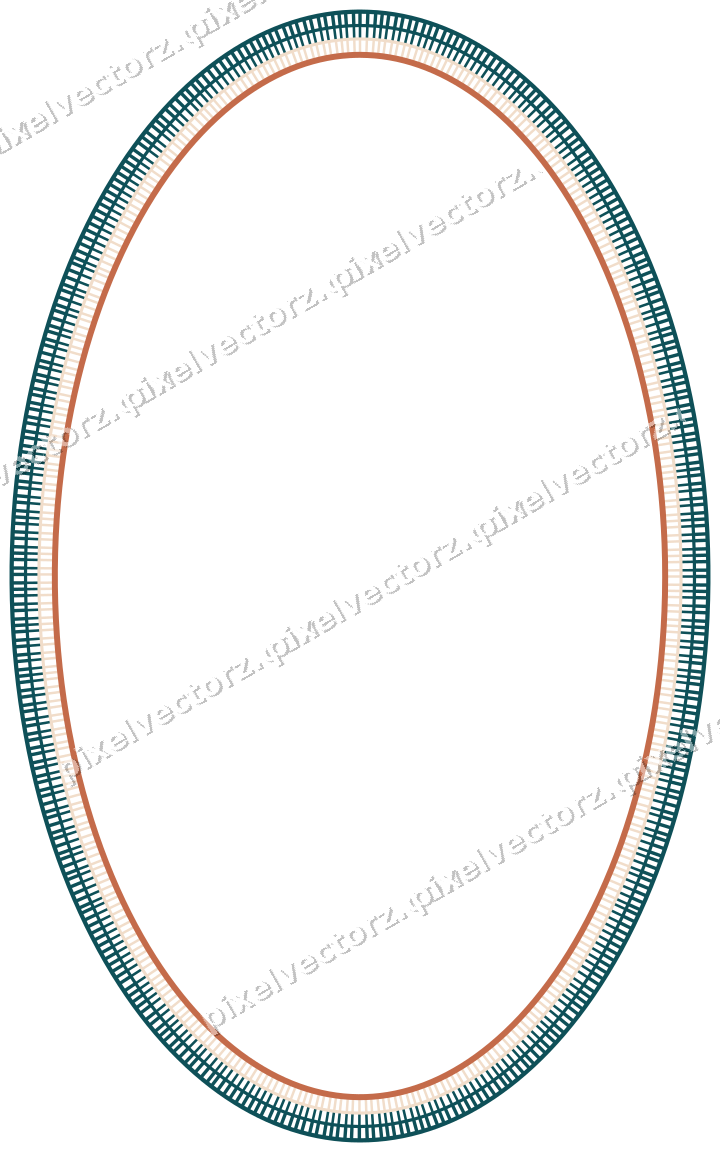 Decorative line art frame in dark teal and orange with oval