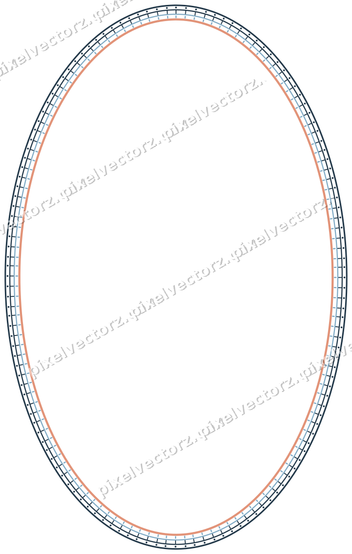Decorative line art frame in orange and cyan with oval and dotted line