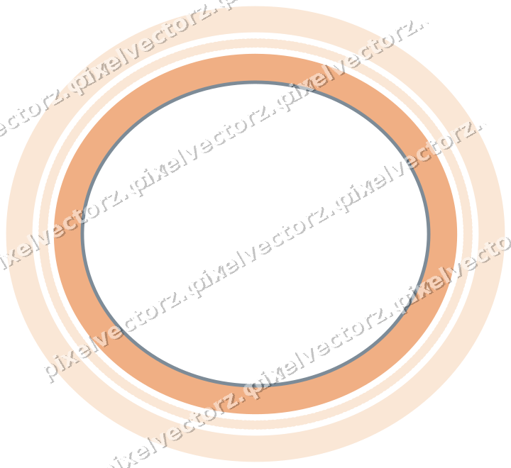 Decorative line art frame in blue and orange with oval and solid band