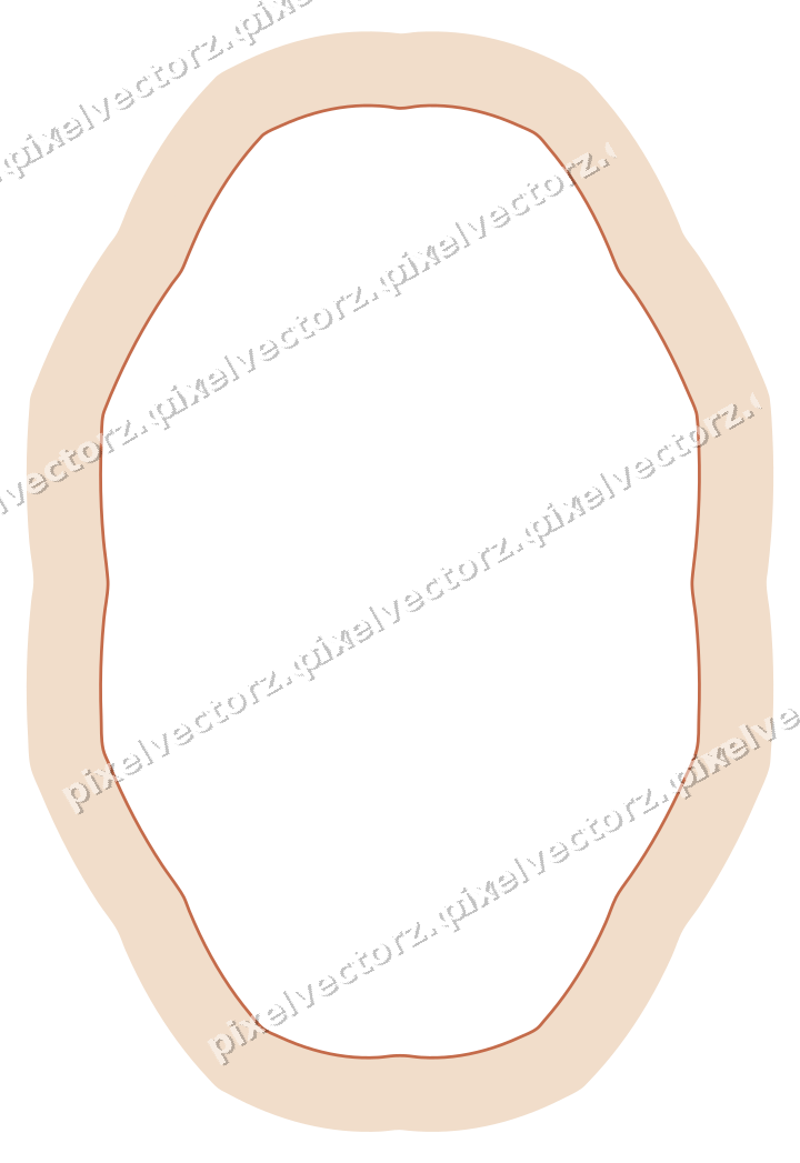 Decorative line art frame in dark teal and orange with oval
