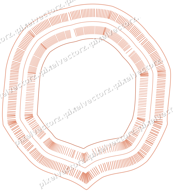 Decorative line art frame in orange and cyan with label plaque