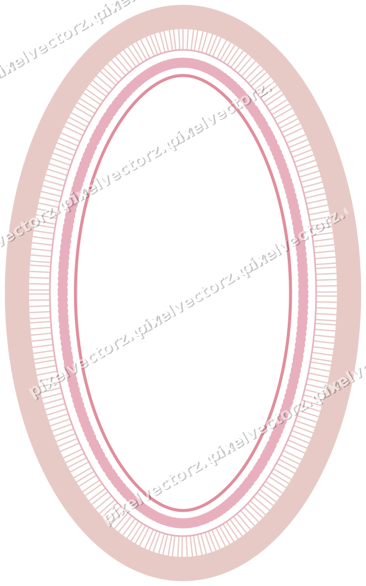 Decorative line art frame in pale pink and pale red with oval
