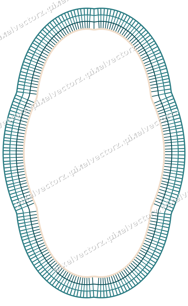 Decorative line art frame in dark teal and orange with oval