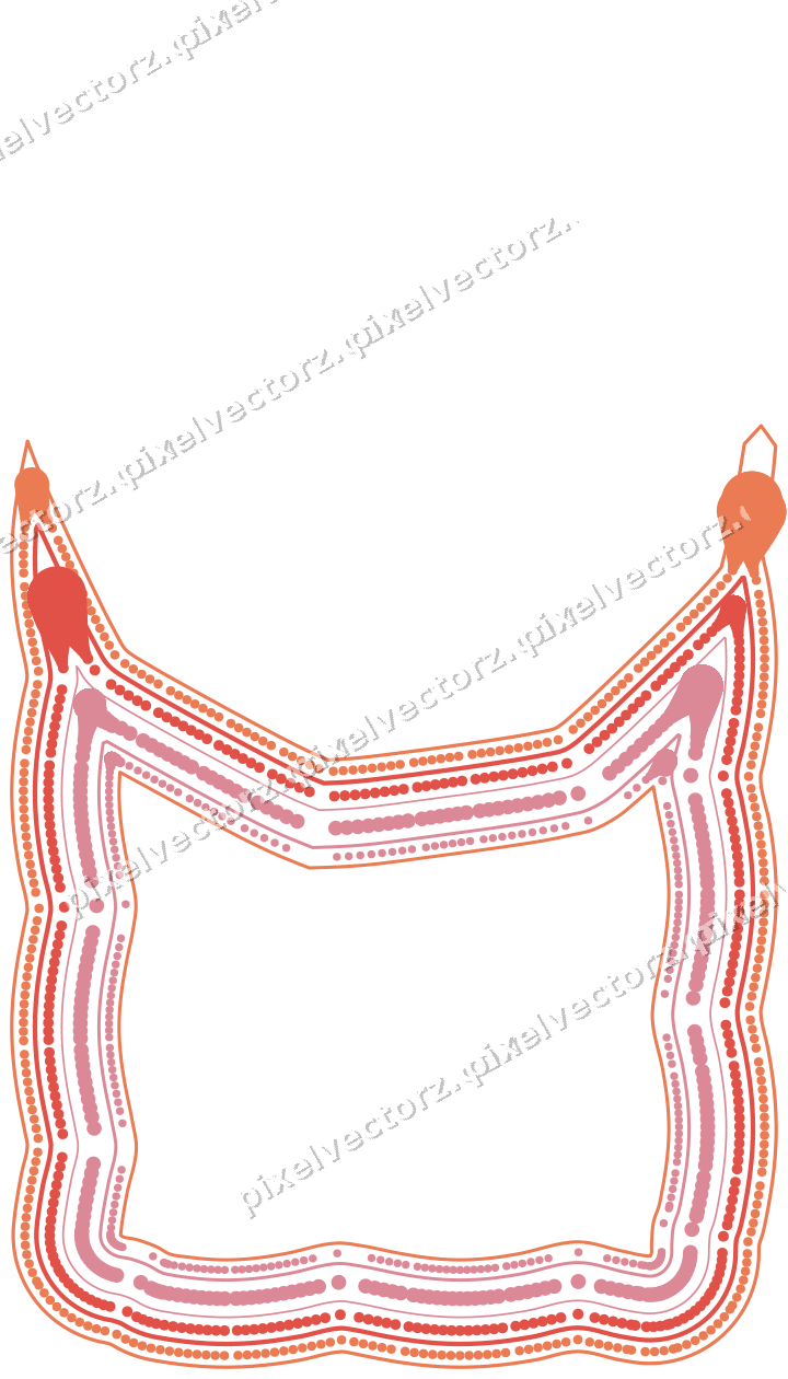 Decorative line art frame in red and orange with label plaque